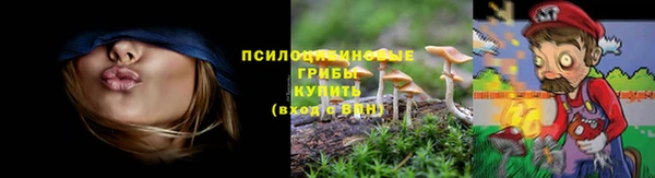 гидропоника Бабаево