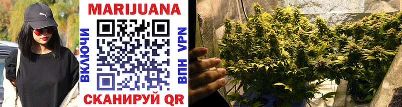 Марихуана SATIVA & INDICA omg онион Бологое купить закладку